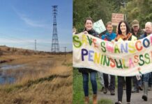 Victoire écologique face à un projet de parc d’attraction titanesque