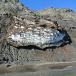 Permafrost_in_Herschel_Island_015