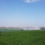 photo_2022-04-07 12.24.41