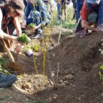 photo_2022-04-07 12.24.49