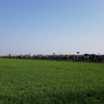 photo_2022-04-07 12.24.52