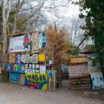 photo_2022-04-08 12.07.39