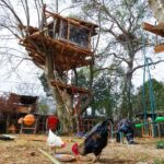 photo_2022-04-08 12.07.55