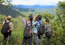 En Amérique latine, les initiatives écologiques foisonnent !