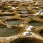 Capture-d’écran-2020-05-29-à-16.15.34-1500×628