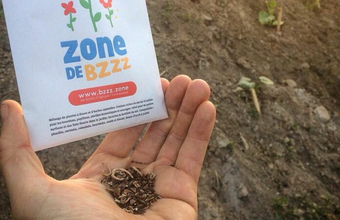 Zones de Bzzz : cette idée très simple pour aider les abeilles !