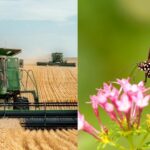 loren-king-bp4Kj6RMH9E-unsplash