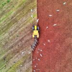 red-zeppelin-SAk_AHc7HhA-unsplash