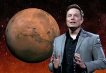 Elon Musk : le vrai visage du capitalisme sauvage