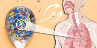 Étude : de nombreux microplastiques retrouvés dans les poumons humains
