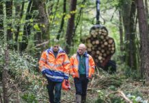 L’importance de la gestion collective de nos forêts