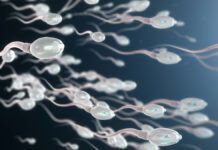 Une nouvelle étude confirme le lien entre pollution et baisse de la fertilité masculine