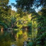 rainforest-g1513394b4_1280