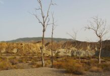 L’Espagne et le Portugal n’ont pas été aussi secs depuis 1200 ans