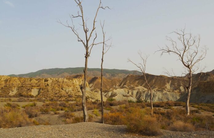 L’Espagne et le Portugal n’ont pas été aussi secs depuis 1200 ans