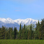 26206834051_1b8c8fa9bc_b