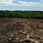 290606838_200391265657682_4033069211906653693_n