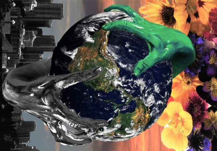 La « dictature verte », ce mythe qui sert le capital