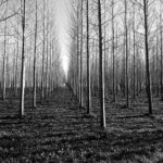 51896626731_bcc6fe8af2_k