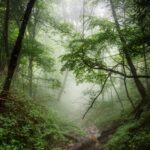 dave-hoefler-vW1TR9cBcSg-unsplash