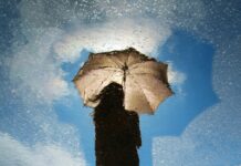 Étude : l’eau de pluie est devenue nocive pour la santé