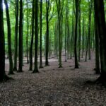 freysteinn-g-jonsson-3ByFP-83OO8-unsplash