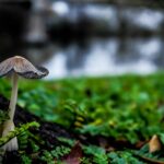 marie-helene-rots-ABflCLDHblQ-unsplash