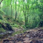 mr-xerty-LIxvPqqRfEc-unsplash