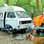 Nono chez lui avec trois de ses quatre chiens