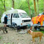 Nono chez lui avec trois de ses quatre chiens