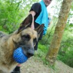 Nono et sa chienne Muxu, fidèle protectrice et chauffage en hiver