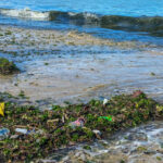 Plastic-in-Oceans-33096-980×735