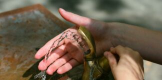 Une appli pour trouver des points d’eau gratuits et éviter le plastique