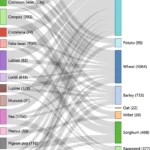 41467_2022_32464_Fig5_HTML