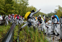 Comment militer sans se brûler les ailes ?