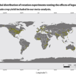 Capture d’écran 2022-09-09 à 15.54.04