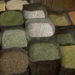 légumineuses marché c G. Trébuil, Cirad