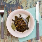 tortue-vivante-dans-assiette-eau-du-laurier-couverts-table-imitation-soupe-aux-tortues-concept-protection-animaux_107288-2585