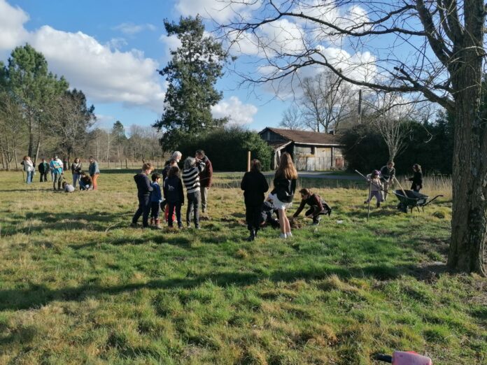 Il plante des arbres avec des enfants pour créer des forêts fruitières