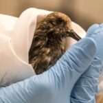 Capture d’écran 2022-10-09 à 20.53.14