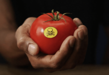 Ces pesticides européens qui contaminent le monde