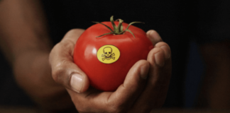 Ces pesticides européens qui contaminent le monde