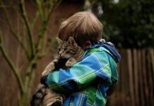 Les bienfaits du ronronnement des chats sur notre mental