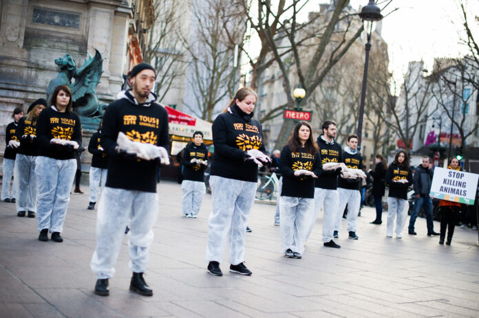 Défense animale : la droite menace les lanceurs d’alerte