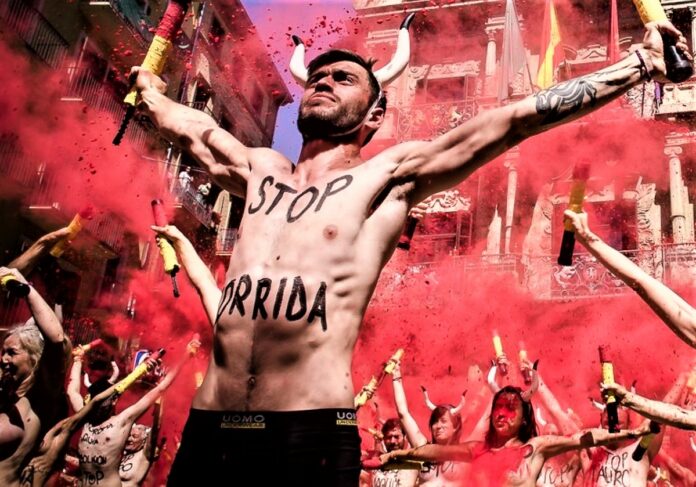 La corrida pourrait être bientôt interdite en France