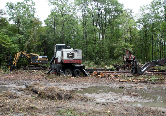 Il ne reste que huit ans pour stopper la déforestation