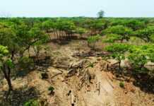 Congo : une bombe climatique est en préparation