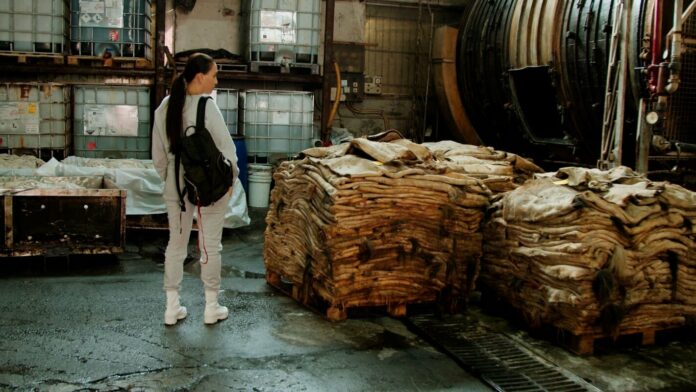 SLAY : l’enquête sur la mode qui dévoile l’enfer des animaux