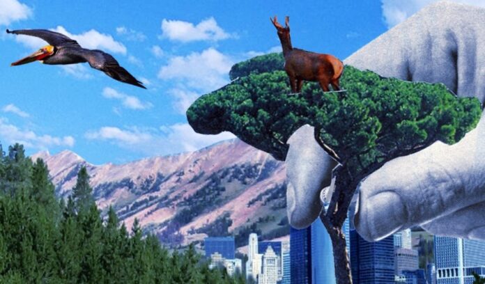 Et si le droit animal devenait intouchable ?