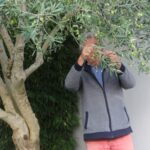 IMG_3785 aux arbres citoyens crédit jenny delrieux